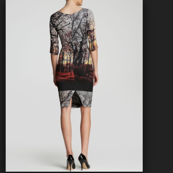 Tracy Reese Winter Landscape Dress Silk 3/4 Slv - Picture 3 of 5